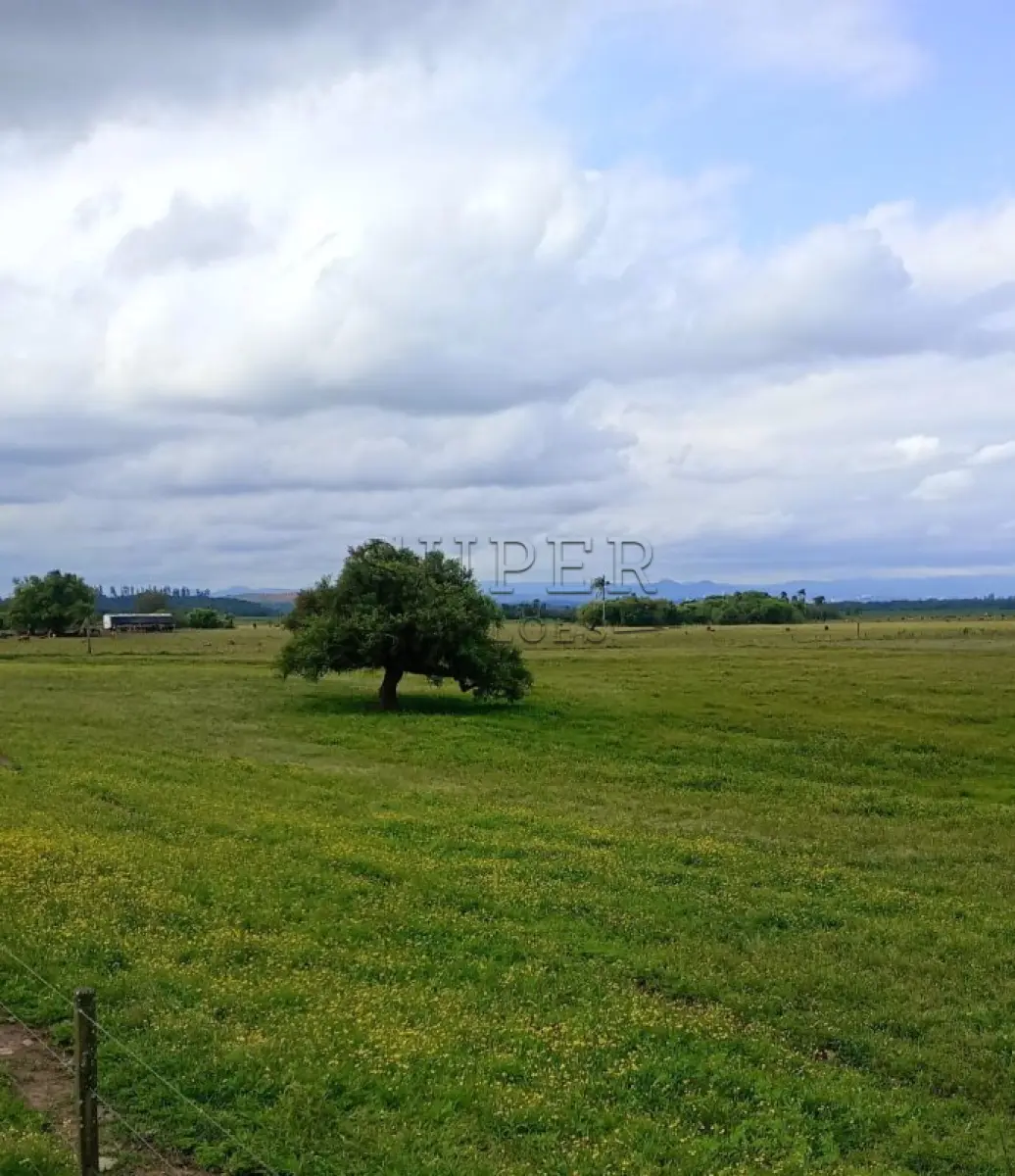 LOTE 013 - Área de 67.770,00m², Rincão Nossa Senhora Aparecida, Segredo/RS