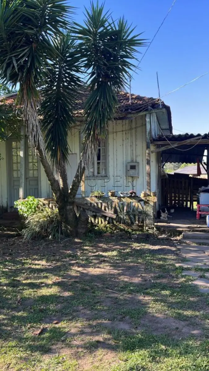 LOTE 006 - Duas áreas de campo e suas Benfeitorias  73.912,80m², Campestre, Sobradinho/RS