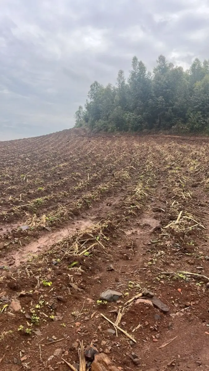 LOTE 001 - Uma fração de 31ha9440m² lugar denominado Rincão da Cria, Barro Vermelho, Cachoeira do Sul/RS