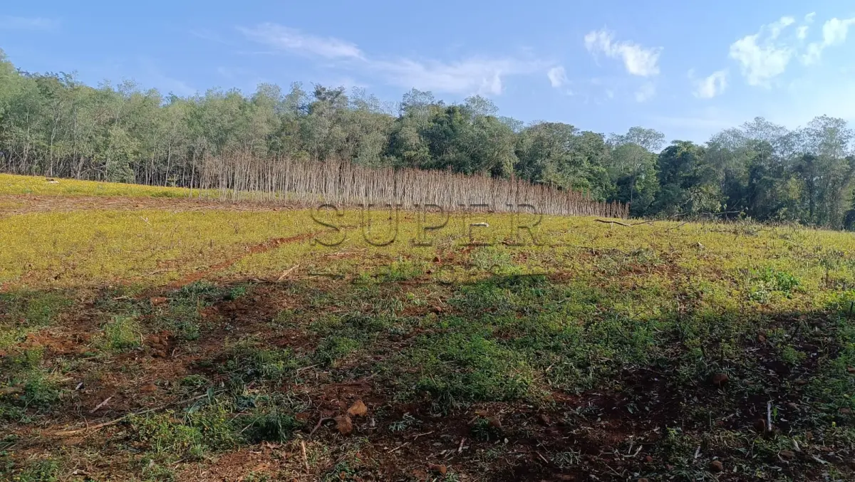 LOTE 007 - Área de 7.016,06 m²,  pertencente ao lote rural 42 da Linha Butiá, município de Campina das Missões/RS.