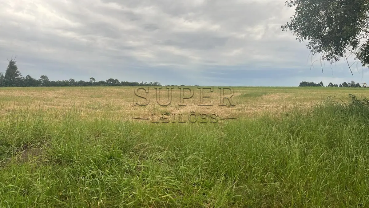 LOTE 015 - UMA FRAÇÃO DE 5,2972 hectares, Sanga Funda,  Novo Cabrais/RS