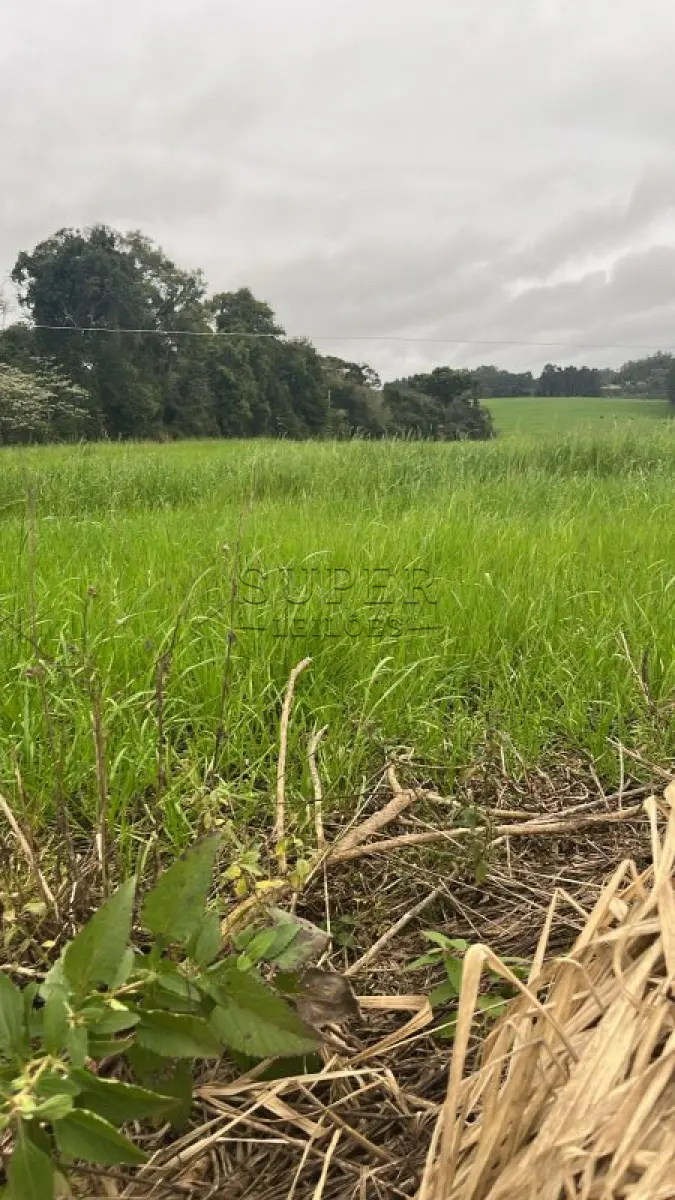 LOTE 004 - fração de terras com a área superficial de 21.850,00m2, Linha Carijinho, no município de Sobradinho- RS