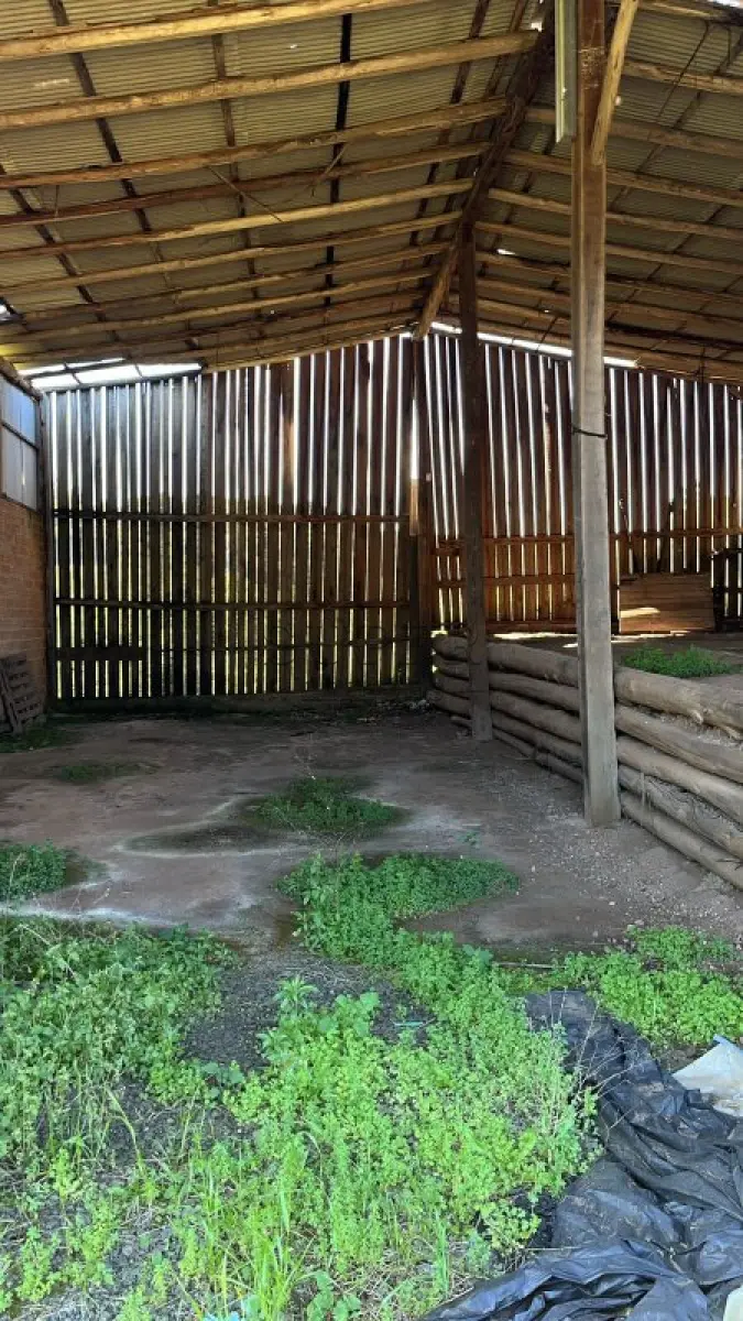 LOTE 006 - Duas áreas de campo e suas Benfeitorias  73.912,80m², Campestre, Sobradinho/RS