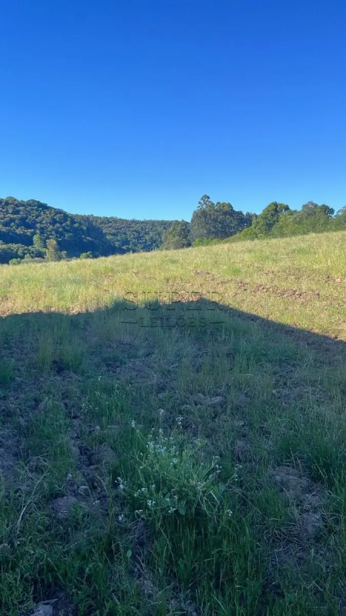 LOTE 006 - Duas áreas de campo e suas Benfeitorias  73.912,80m², Campestre, Sobradinho/RS