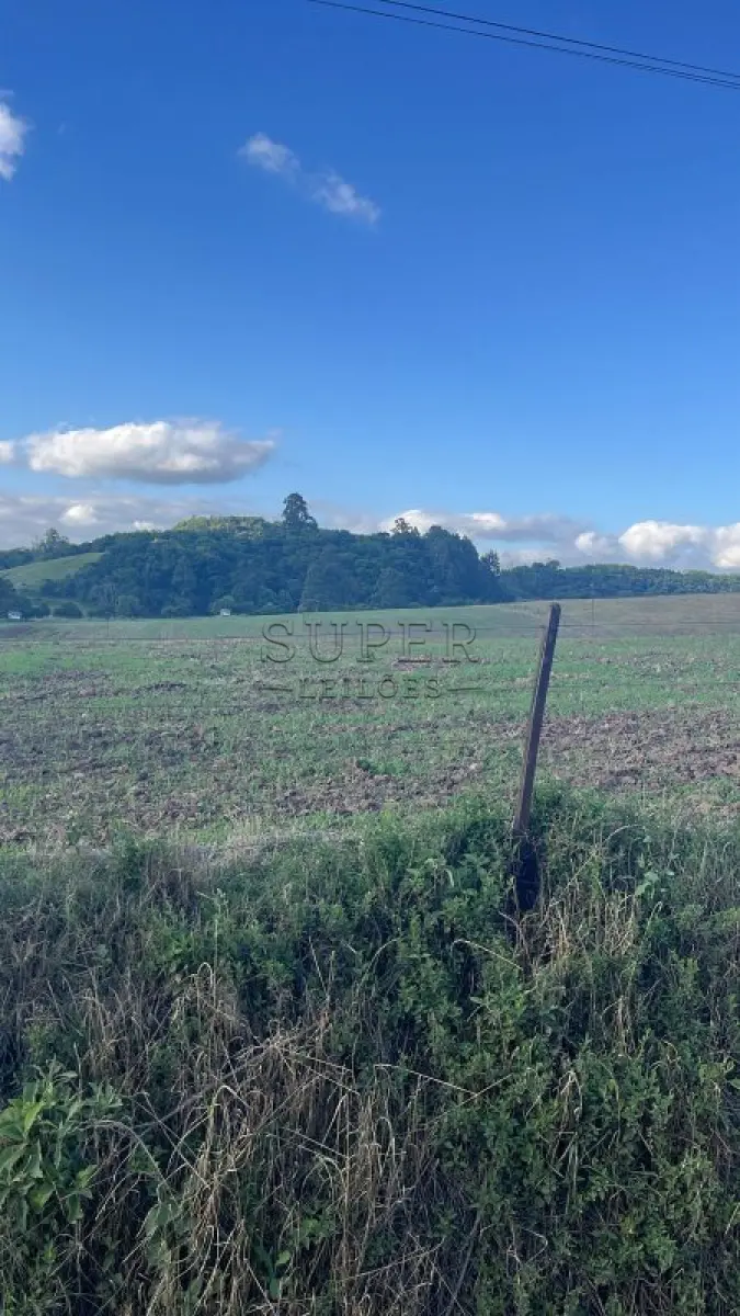 LOTE 002 - 50%, de um imóvel rural com área total de 7 ha 8.641,40 m², idade de Contenda, município de Paraíso do Sul/RS