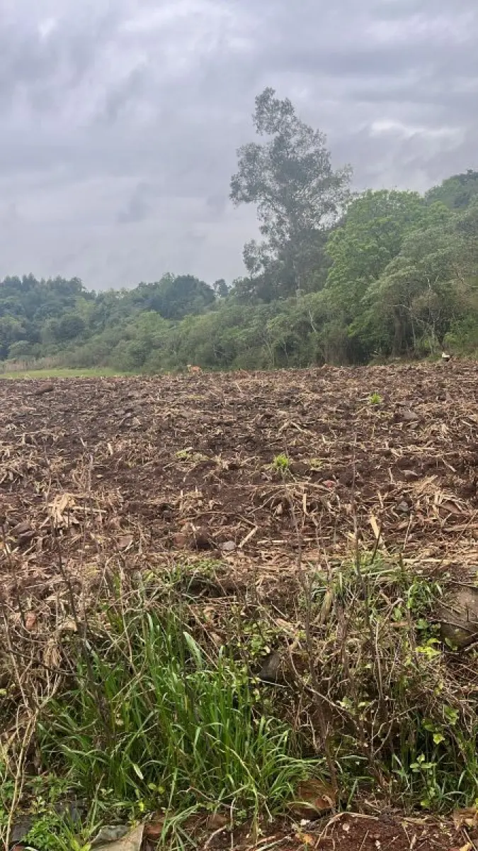 LOTE 001 - Uma fração de 31ha9440m² lugar denominado Rincão da Cria, Barro Vermelho, Cachoeira do Sul/RS
