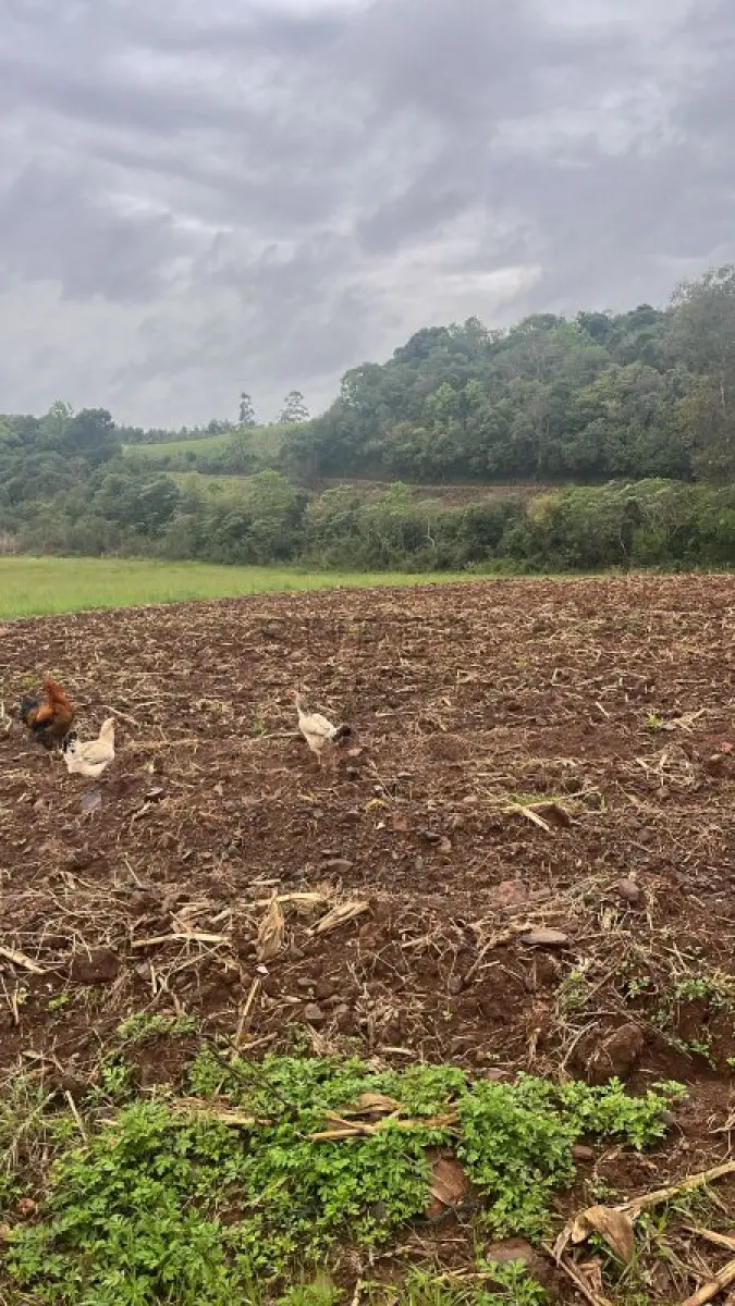 LOTE 006 - Fração de área de 30.000 m², matrícula R3/17.058 CRI Sobradinho-RS.