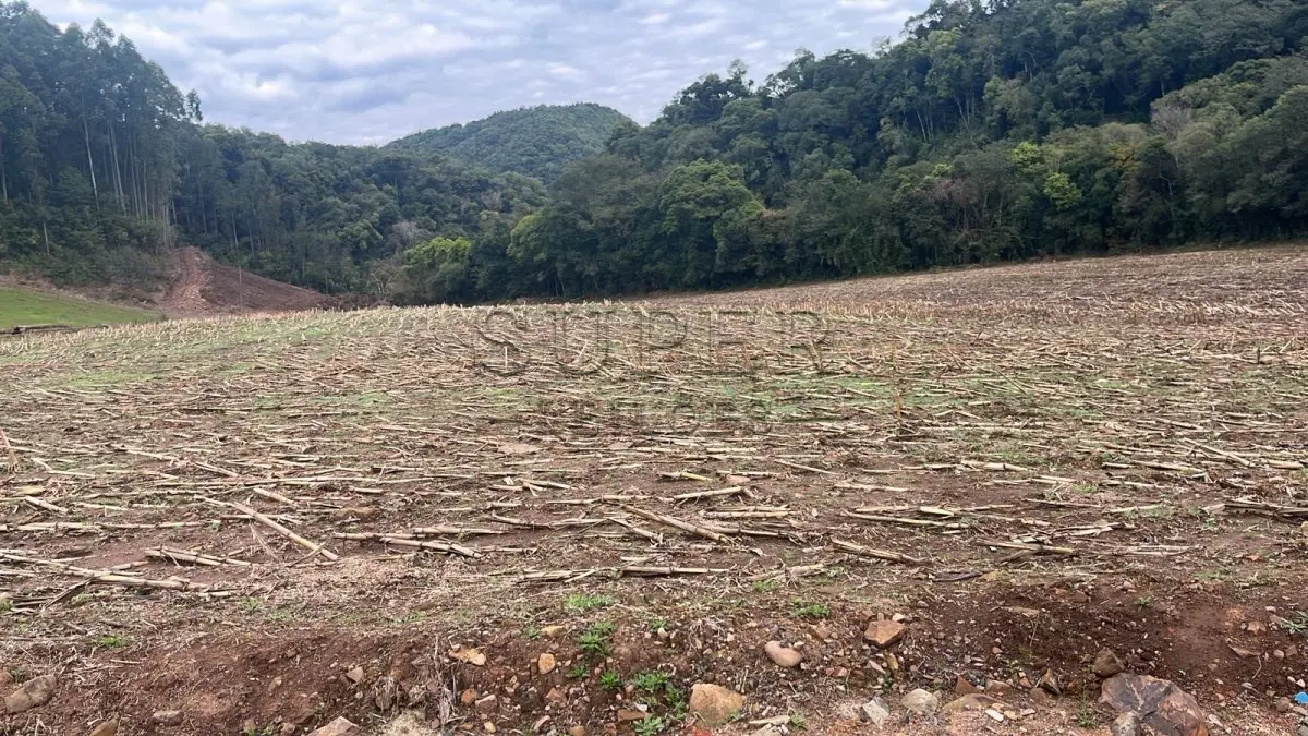 LOTE 009 - 12ha.916,66m2, de terras, situado no lugar denominado Serrinha Velha, município de Segredo-RS,