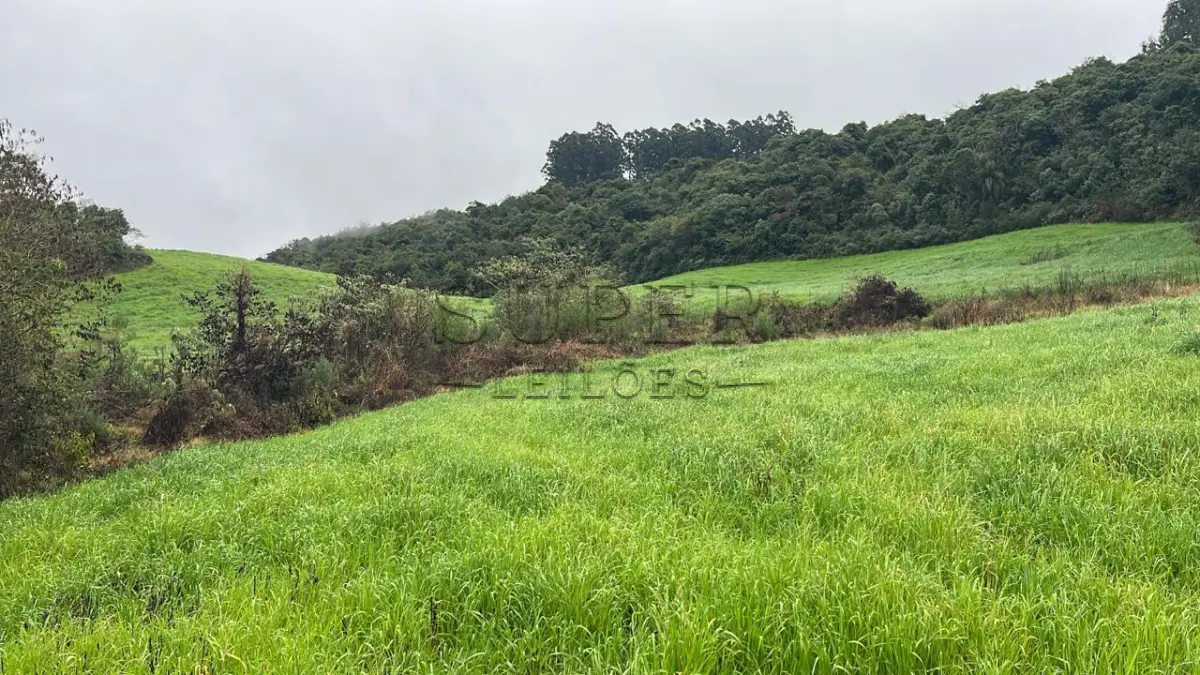 LOTE 006 - Área de terra 3HA, Situada na Localidade de Alto da Serra, Município de Lagoão/RS