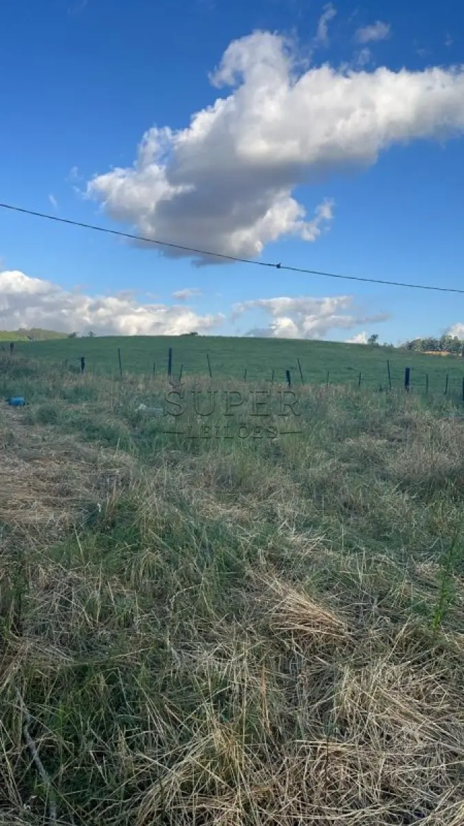 LOTE 003 - 50% de um imóvel rural com área total de 4 ha 3.280,60 m², localidade de Contenda, município de Paraíso do Sul/RS