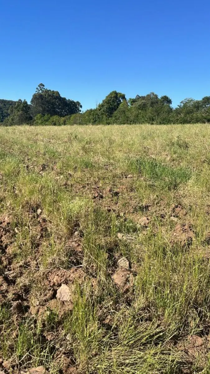 LOTE 006 - Duas áreas de campo e suas Benfeitorias  73.912,80m², Campestre, Sobradinho/RS