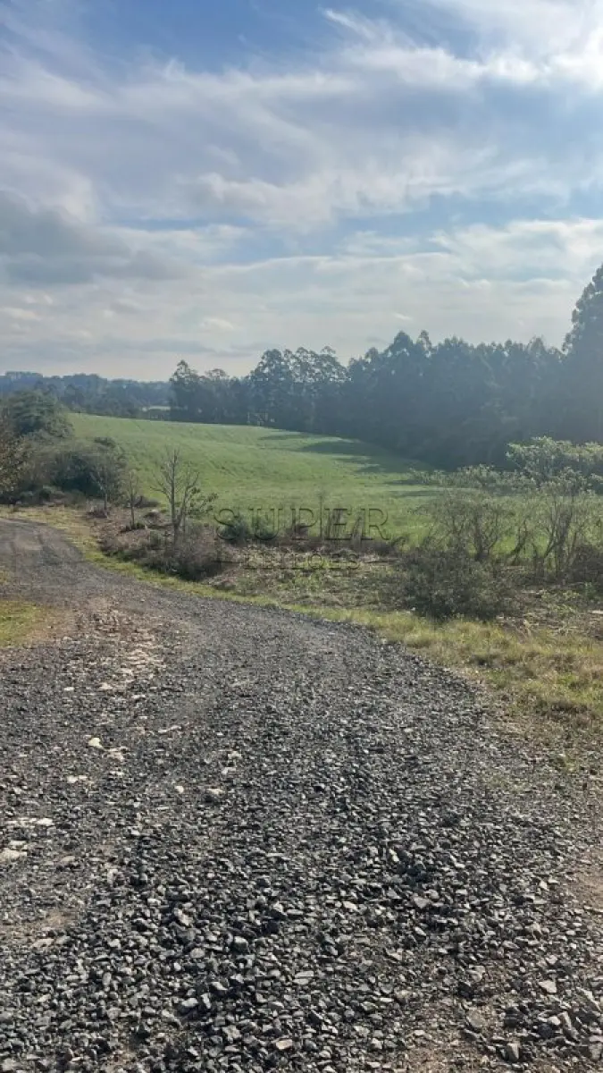 LOTE 001 - Área 12 ha,Serra Velha,Campo de Sobradinho, município de Passa Sete/RS