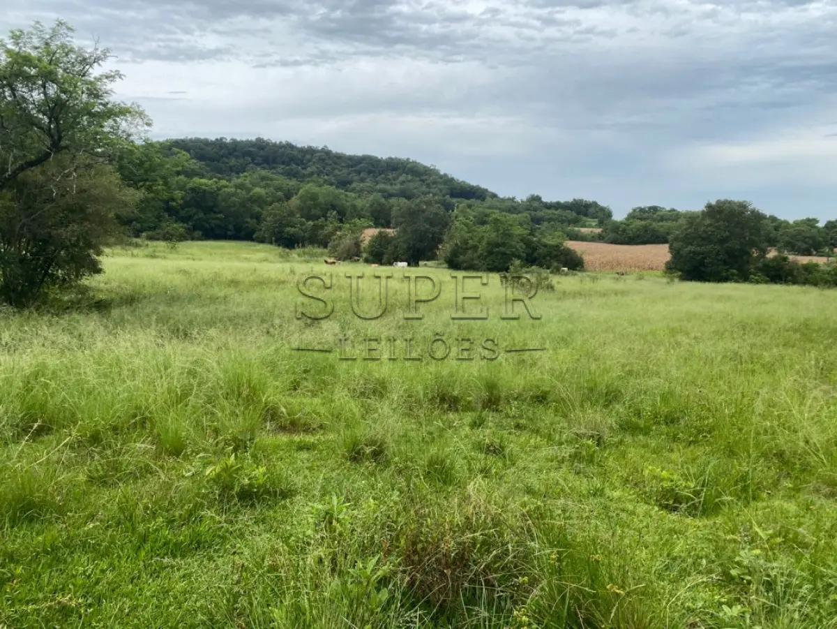 LOTE 006 - LOTE 01: IMÓVEL RURAL com área de 125.000m², om uma casa de madeira,  Linha 1º de Março, da 4ª Secção da região Campina, da Colônia Guarani, sito no município de Porto Lucena/RS