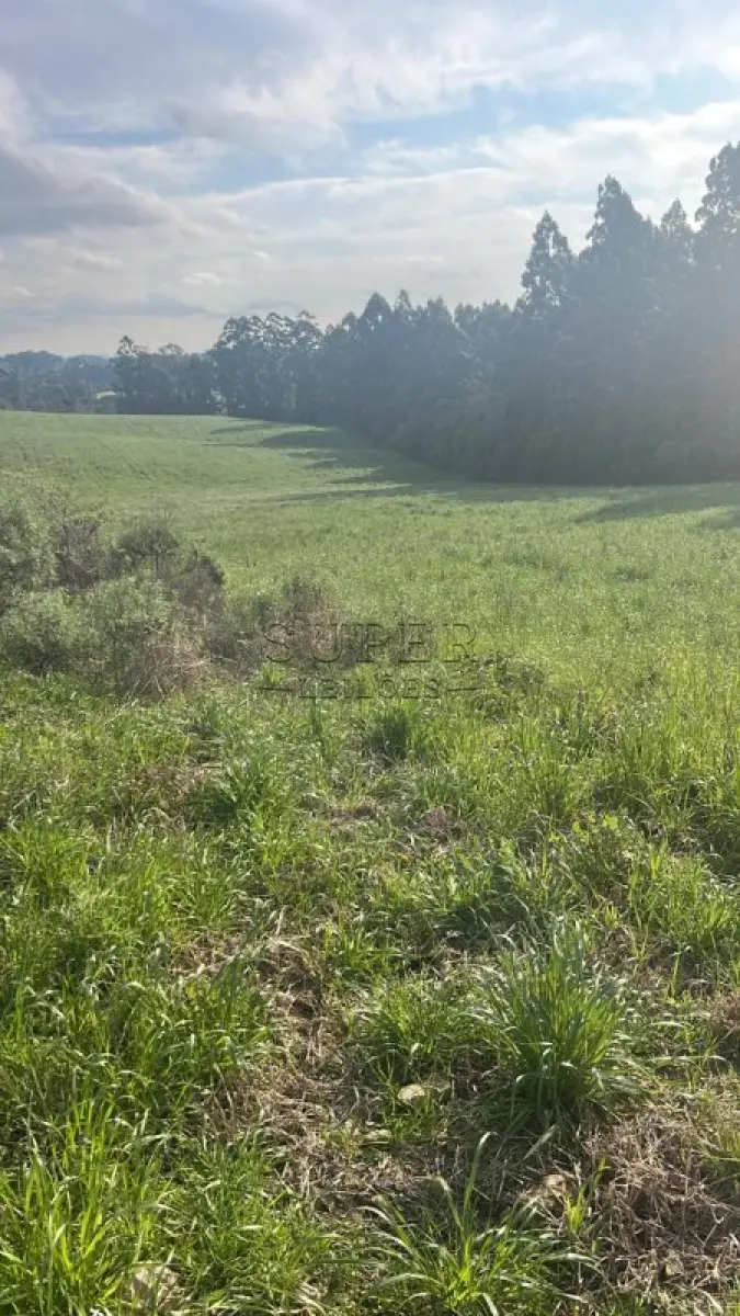 LOTE 001 - Área 12 ha,Serra Velha,Campo de Sobradinho, município de Passa Sete/RS