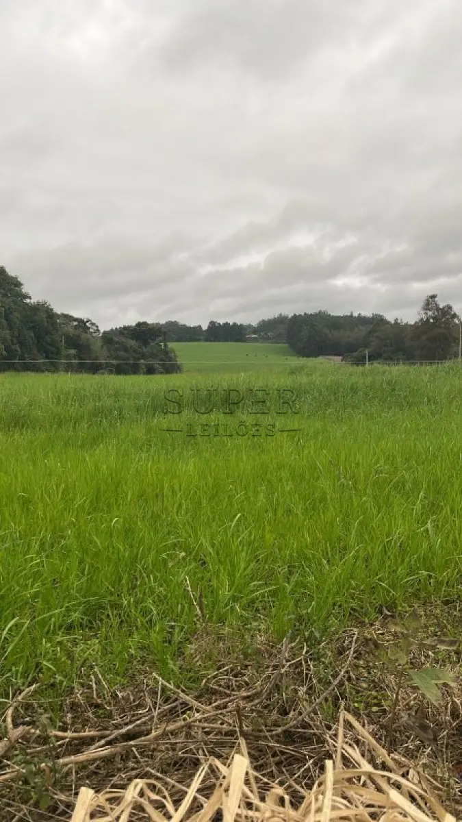 LOTE 004 - fração de terras com a área superficial de 21.850,00m2, Linha Carijinho, no município de Sobradinho- RS
