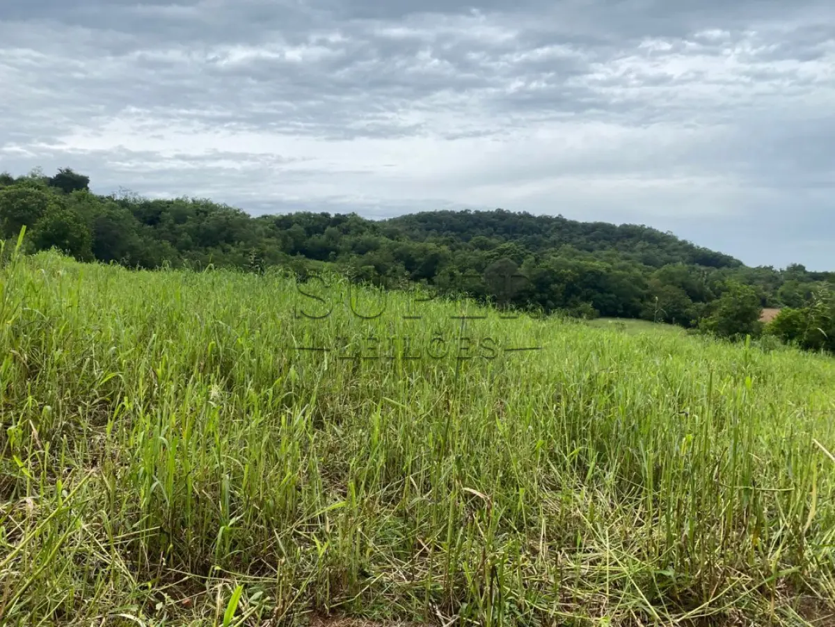 LOTE 006 - LOTE 01: IMÓVEL RURAL com área de 125.000m², om uma casa de madeira,  Linha 1º de Março, da 4ª Secção da região Campina, da Colônia Guarani, sito no município de Porto Lucena/RS