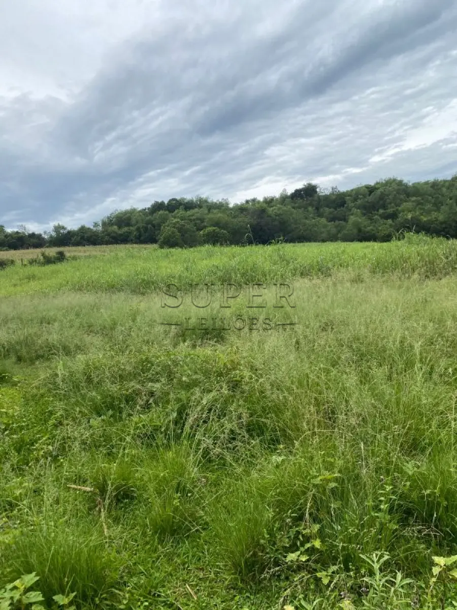 LOTE 006 - LOTE 01: IMÓVEL RURAL com área de 125.000m², om uma casa de madeira,  Linha 1º de Março, da 4ª Secção da região Campina, da Colônia Guarani, sito no município de Porto Lucena/RS