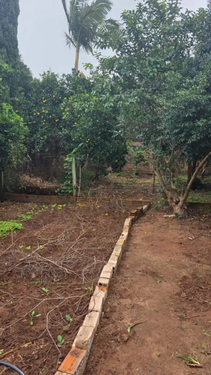 LOTE 001 - Um imóvel registrado sob a matrícula nº 2157 no Registro de Imóveis de Cachoeira do Sul/RS