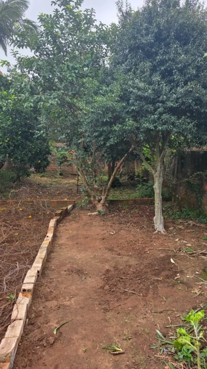 LOTE 001 - Um imóvel registrado sob a matrícula nº 2157 no Registro de Imóveis de Cachoeira do Sul/RS