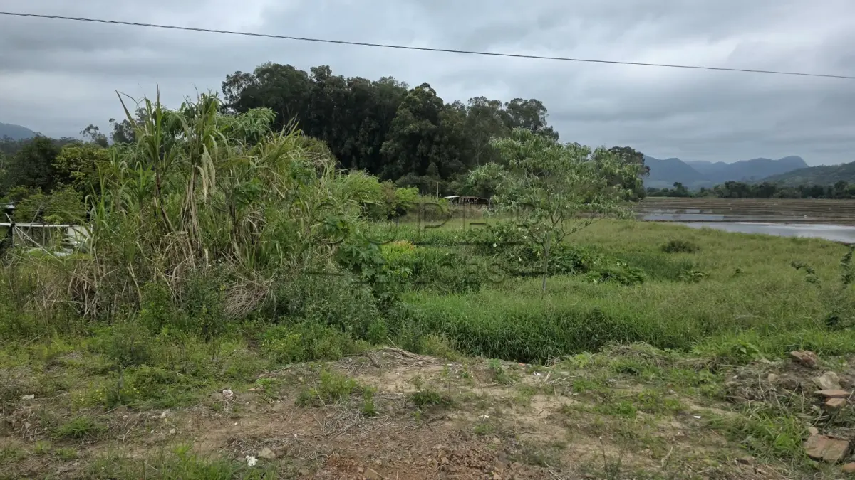 LOTE 0002 - LOTE 2:  MATRÍCULA Nº 8.641 Uma fração de terras rurais, situada no lugar denominado Linha GuardaMór, município de Faxinal do Soturno/RS, com área superficial de 36.677,00 m², com demais medidas, características e confrontações constantes da Matrícula nº 8.641 do Ofício de Registro de Imóveis da Comarca de Faxinal do Soturno/RS.
