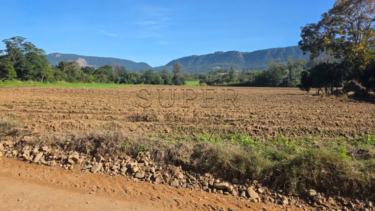 LOTE 006 - LOTE 02: Uma fração de terras, com área superficial de 0.9838 ha, em comum com área maior de 4,5 ha, sita no lugar denominado Cortado, matrícula antiga 6.672, nova matrícula 48833 no município de Paraíso do Sul.