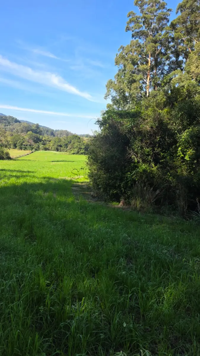LOTE 005 - LOTE 01 - Uma fração de terras com área superficial de 2,4920 ha, em comum com área maior de 8,5 ha, sita no lugar denominado Cortado, município de Paraíso do Sul, com matrícula 6.671.
