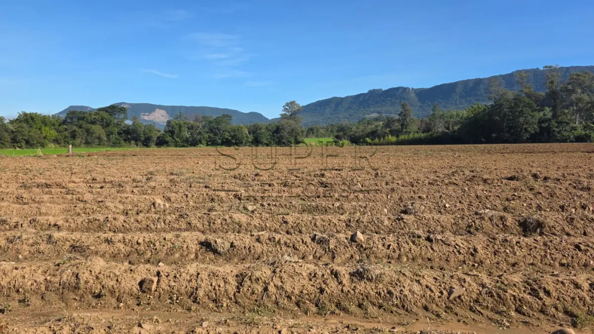 LOTE 006 - LOTE 02: Uma fração de terras, com área superficial de 0.9838 ha, em comum com área maior de 4,5 ha, sita no lugar denominado Cortado, matrícula antiga 6.672, nova matrícula 48833 no município de Paraíso do Sul.