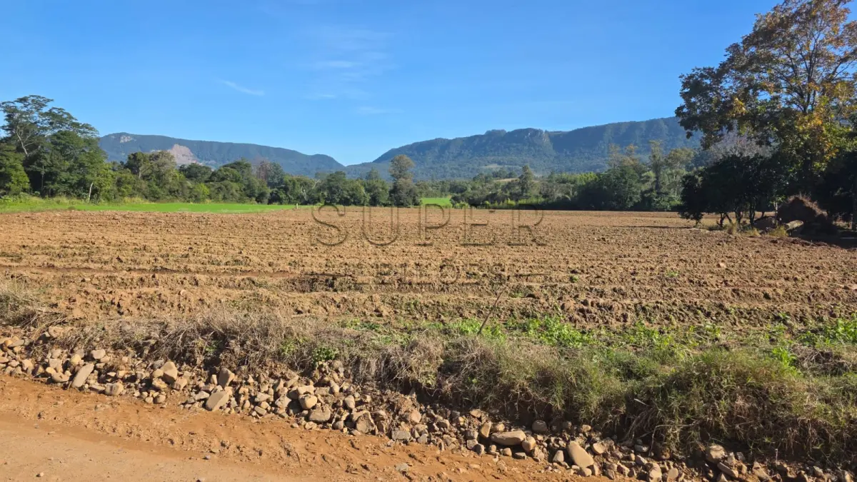 LOTE 006 - LOTE 02: Uma fração de terras, com área superficial de 0.9838 ha, em comum com área maior de 4,5 ha, sita no lugar denominado Cortado, matrícula antiga 6.672, nova matrícula 48833 no município de Paraíso do Sul.