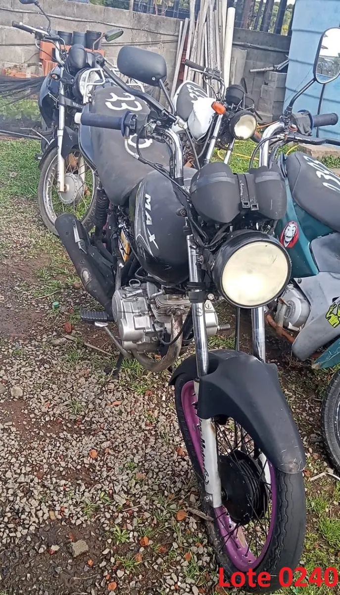 LOTE 0240