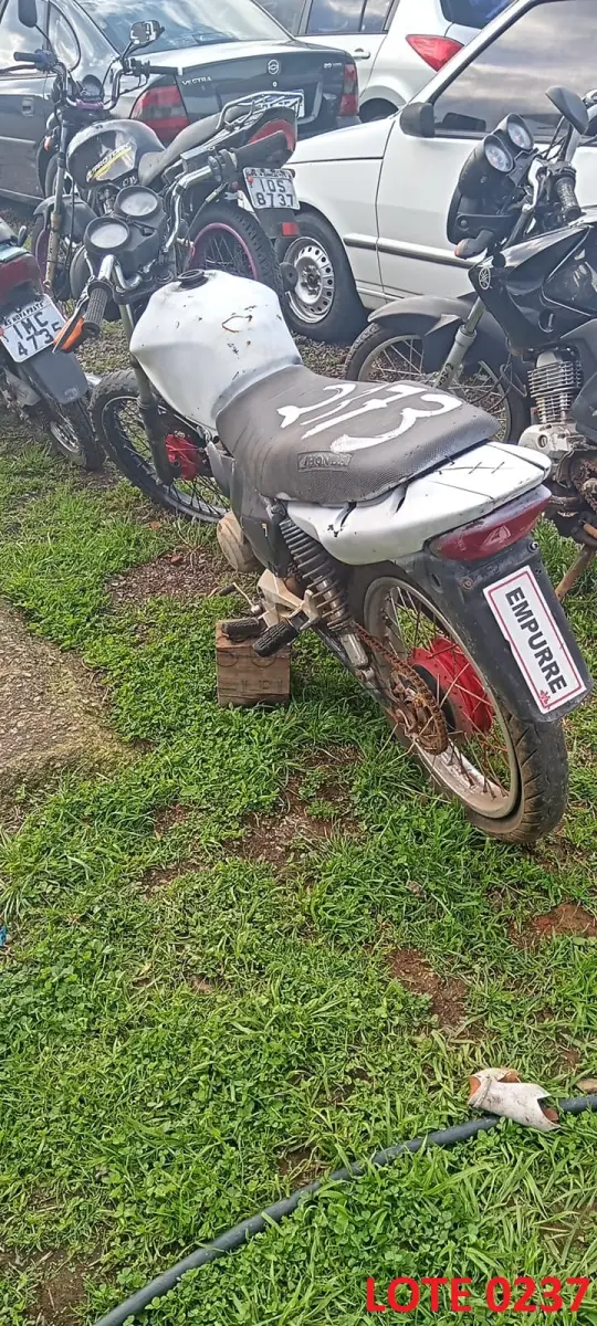 LOTE 0237
