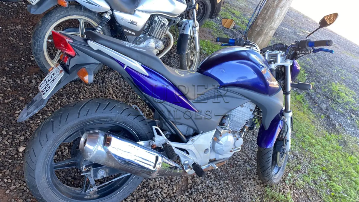 LOTE 0253
