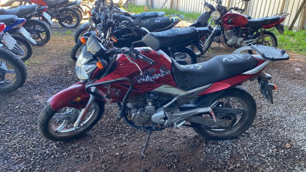 LOTE 0255