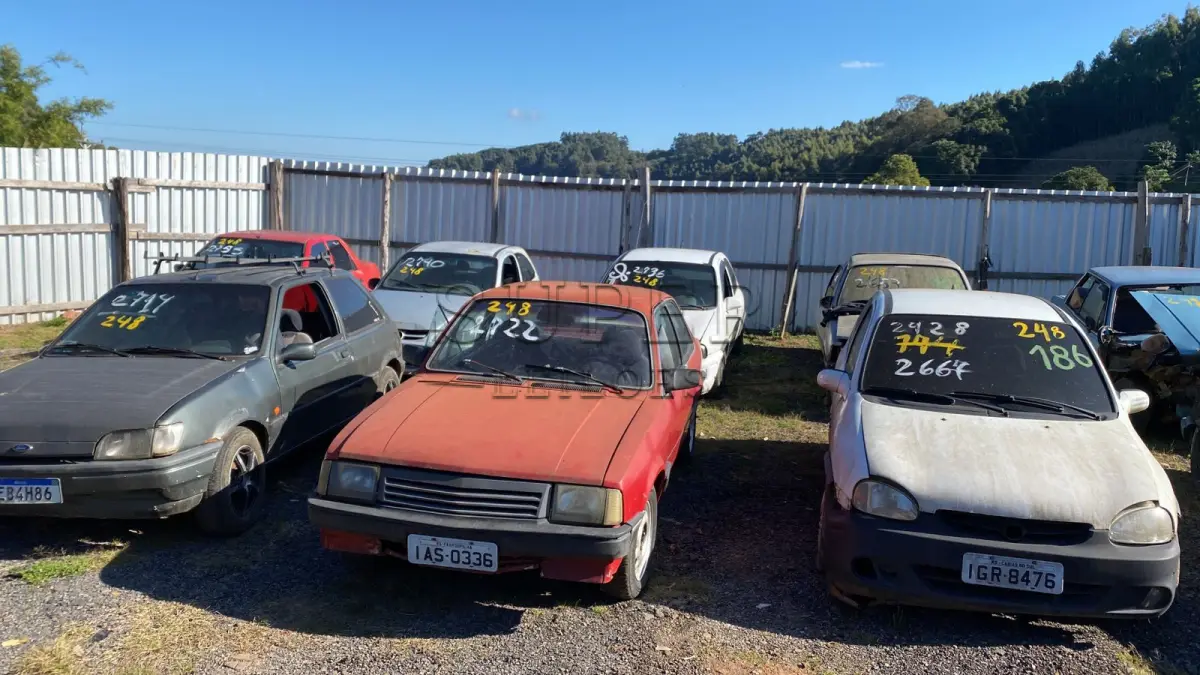 LOTE 0248