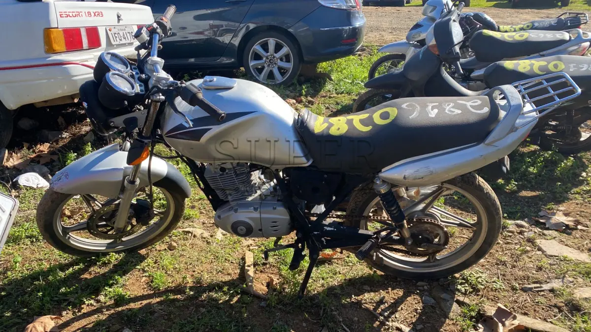 LOTE 0281