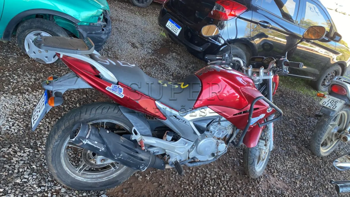 LOTE 0255