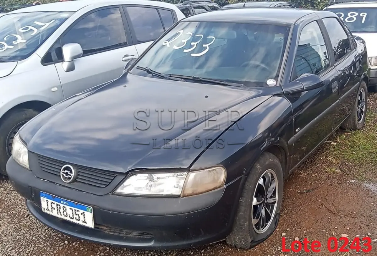 LOTE 0243