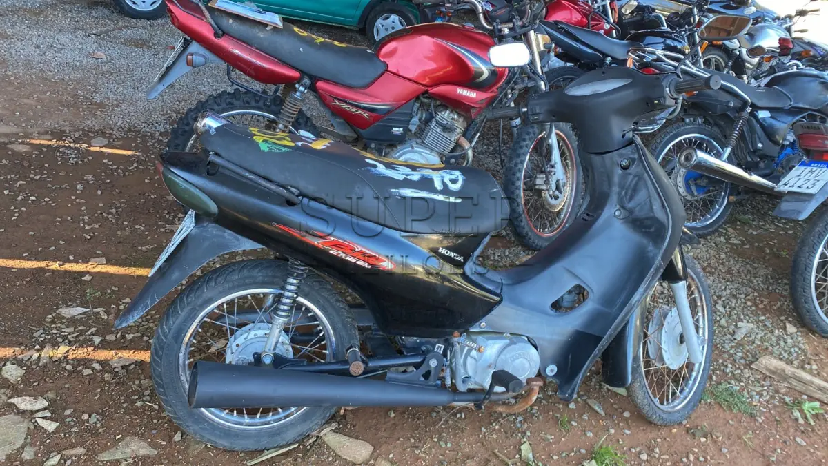 LOTE 0252