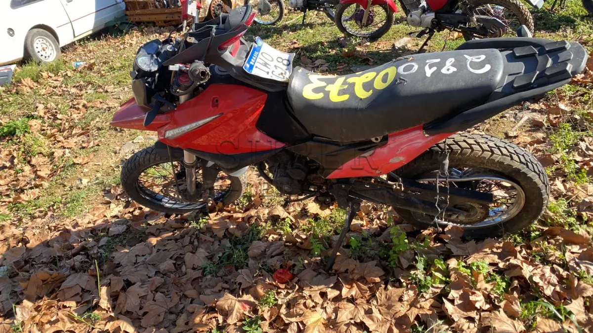 LOTE 0273