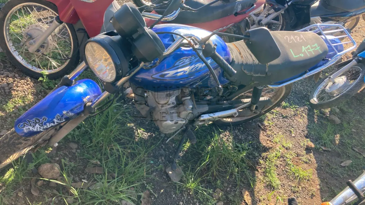 LOTE 0177