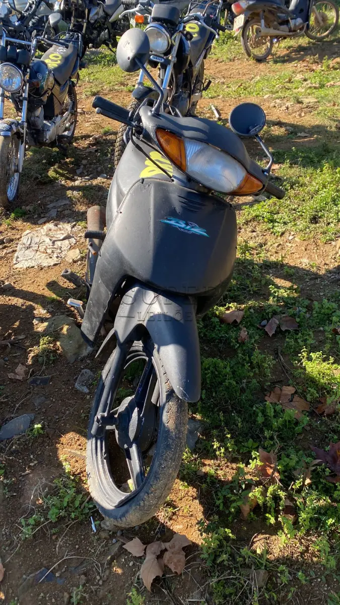 LOTE 0288