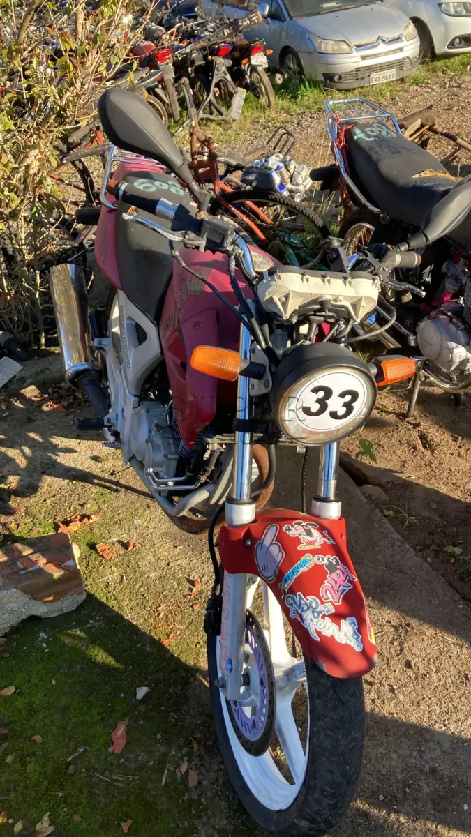 LOTE 0033