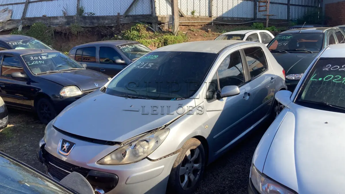 LOTE 0229