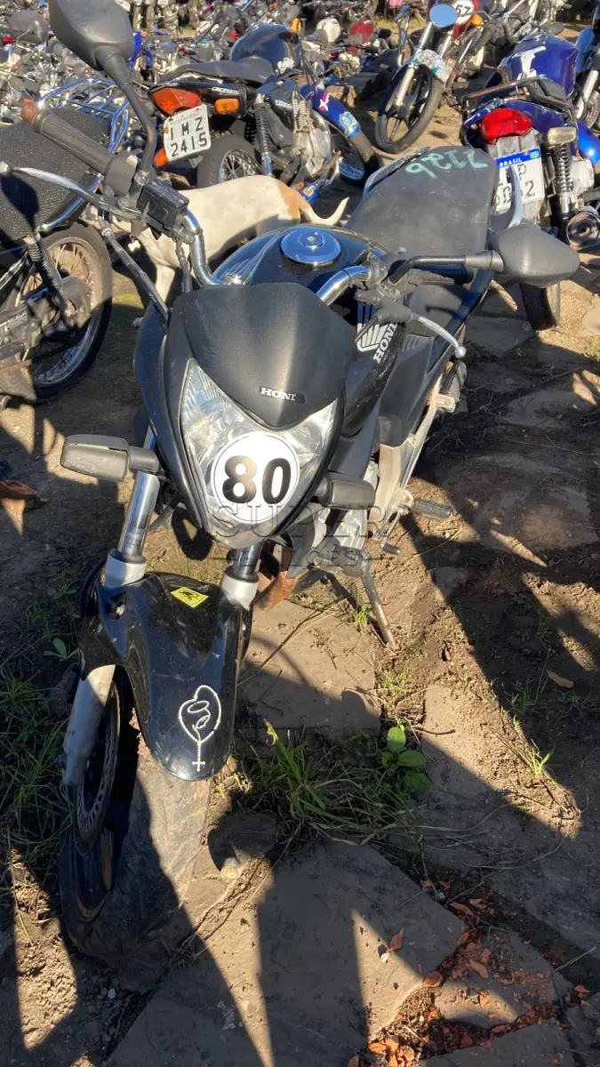 LOTE 0080