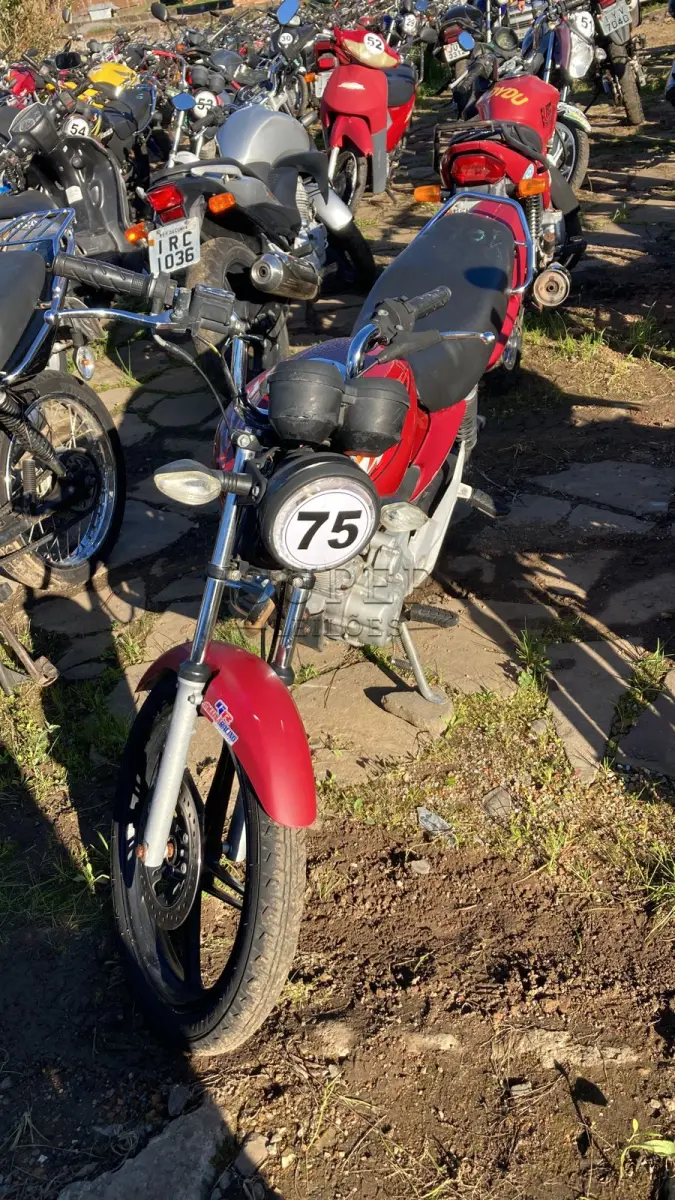 LOTE 0075