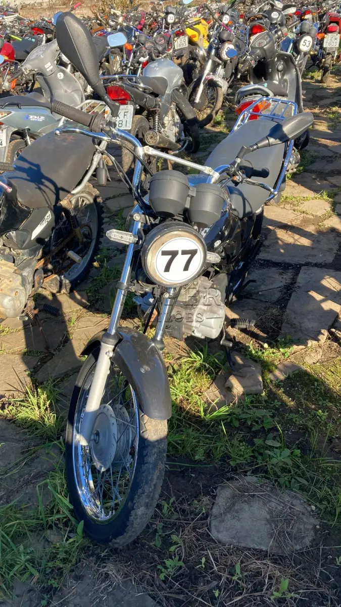 LOTE 0077