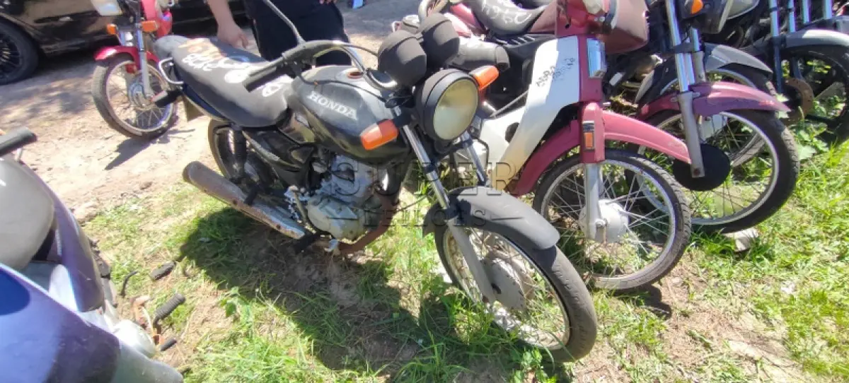 LOTE 0141