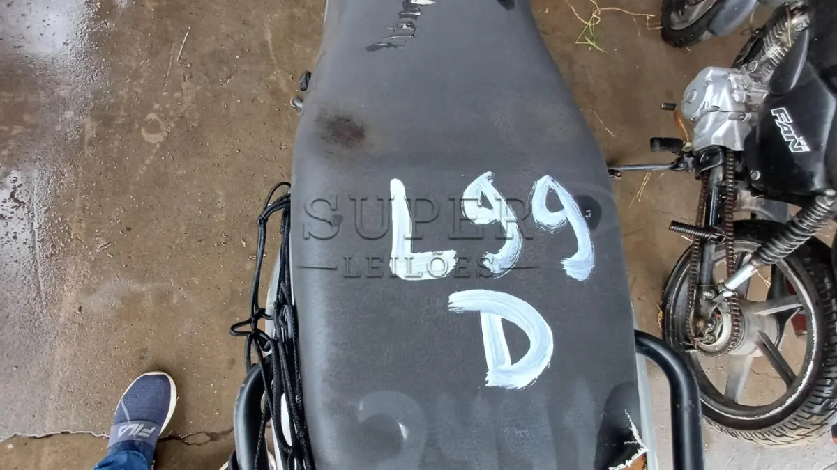 LOTE 0099