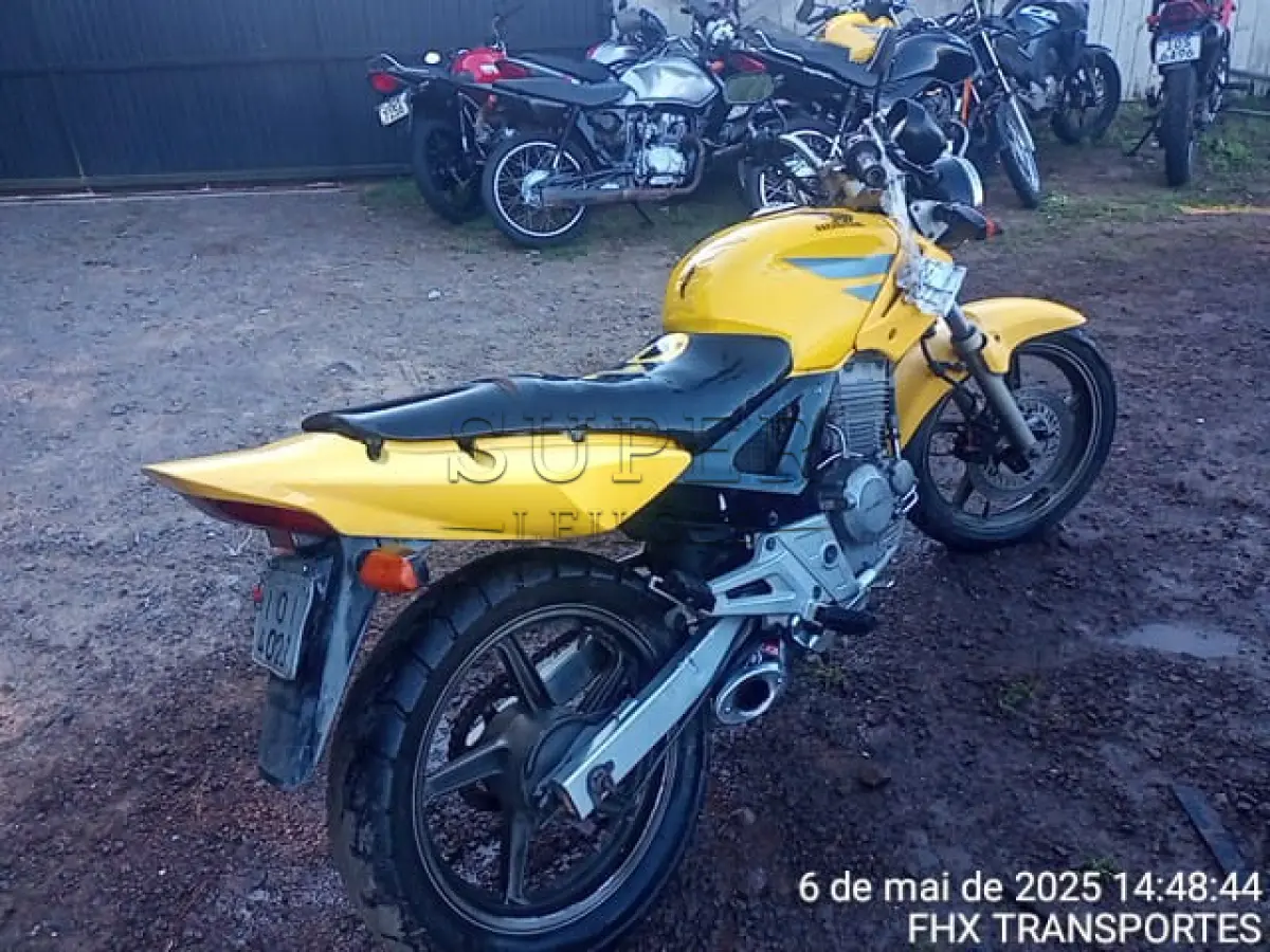 LOTE 0164