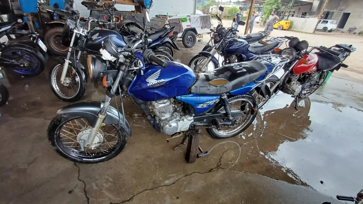 LOTE 0105