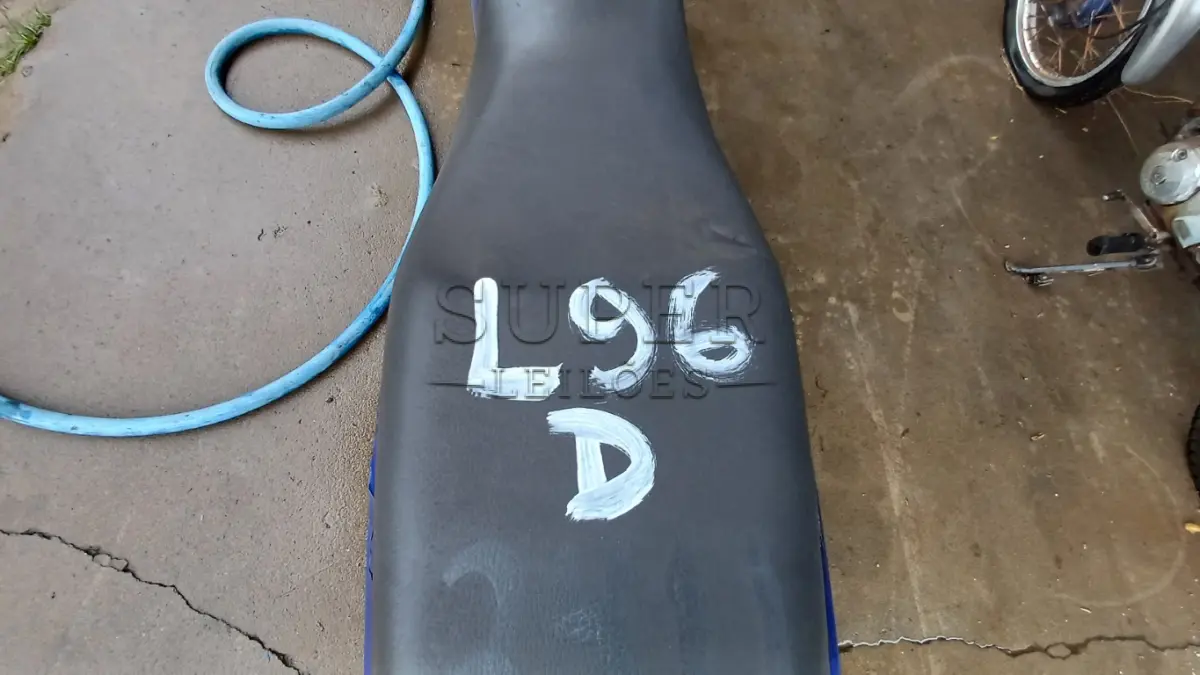 LOTE 0096